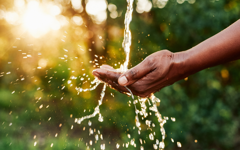 Tailgate | Vine to Wine Water Treatment Solutions